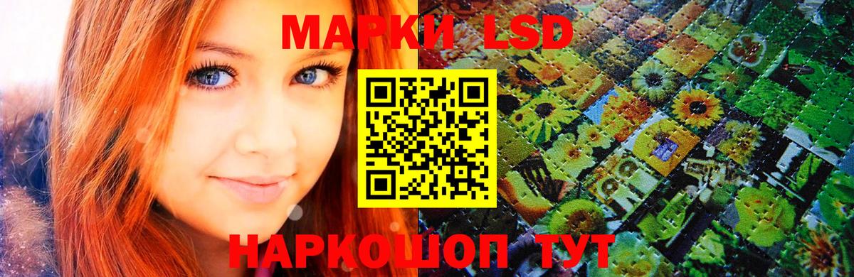 Наркотические марки 1,5мг  Наркотические марки 1,5мг  Вход с VPN  Элиста 