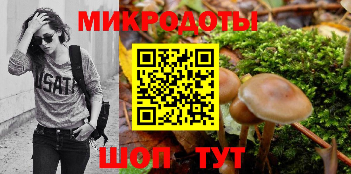 Элиста  Галлюциногенные грибы Magic Shrooms  Вход с VPN 
