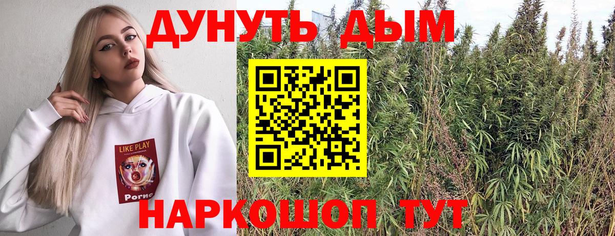 Бошки Шишки план Элиста